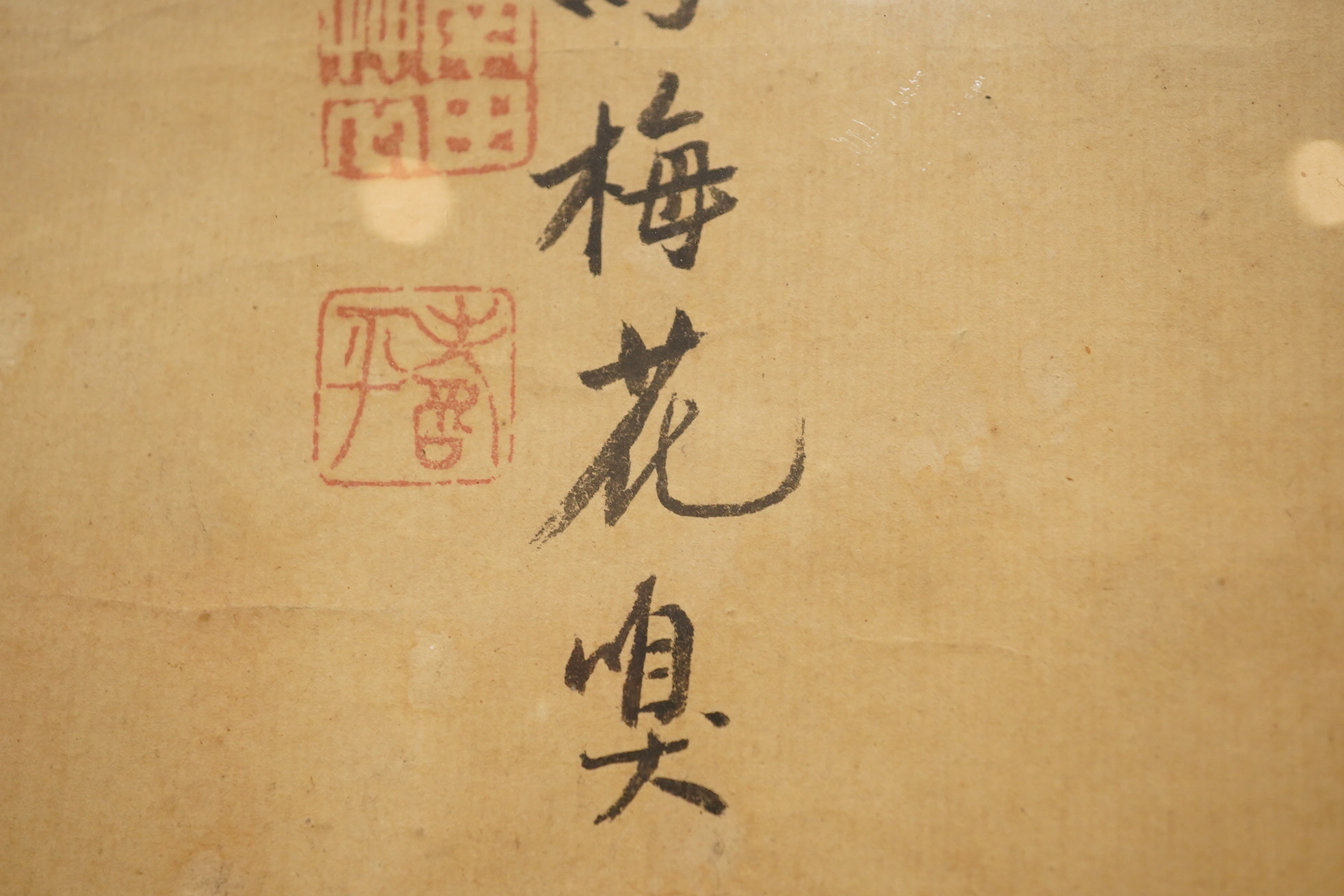 Chinese School , (18th/19th century), Phoenixes amid flowers, Ink and colour on paper; a pair